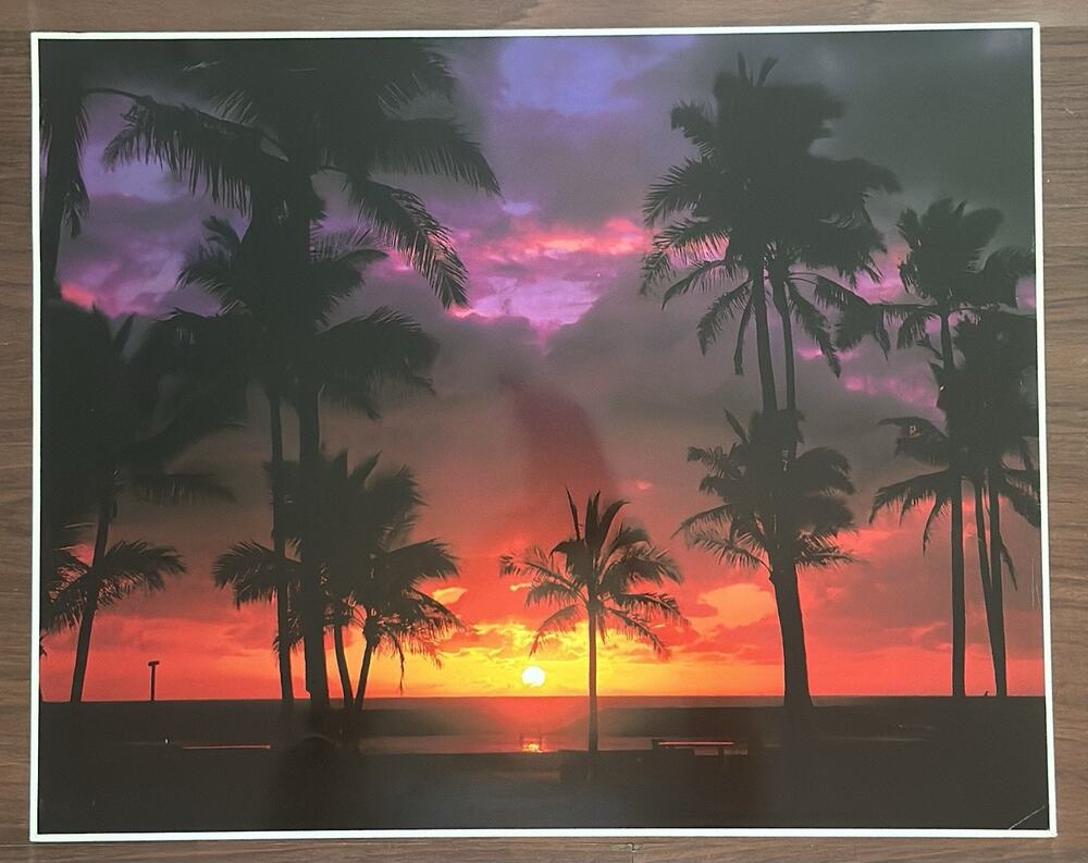 Vintage 1983 John Wagner Spectacular Tropical Sunset Impact Photography 594-H
